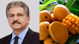 Bank Loan: బ్యాంక్ లోన్ కట్టలేకపోతున్నారా? మీరు తెలుసుకోవాల్సిన కీలక విషయాలు!