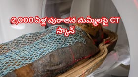 2,000 ఏళ్ల పురాతన మమ్మీలపై CT స్కాన్‌..వెలుగులోకి సంచలన రహస్యాలు!