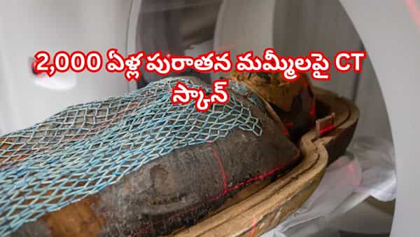 2,000 ఏళ్ల పురాతన మమ్మీలపై CT స్కాన్.. రిపోర్ట్ చూసిన సైంటిస్టులే షాక్! వెలుగులోకి సంచలన రహస్యాలు