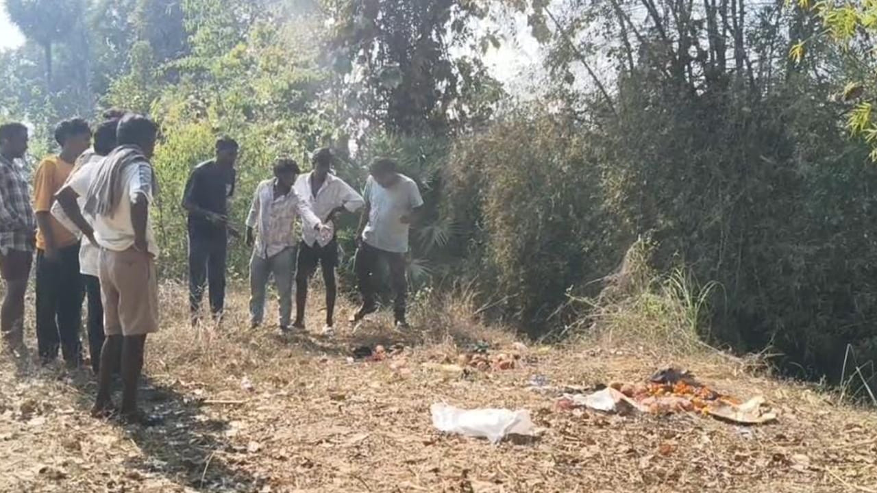 Andhra: పెళ్లి విస్తరాకులు కుప్పగా పడేశారనుకునేరు.. కాస్త జూమ్ చేసి చూడగా కళ్లు తేలేస్తారు