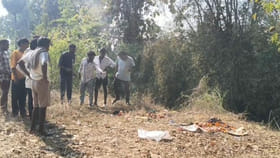 పెళ్లి విస్తరాకులు కుప్పగా పడేశారనుకునేరు.. కాస్త జూమ్ చేసి చూడగా