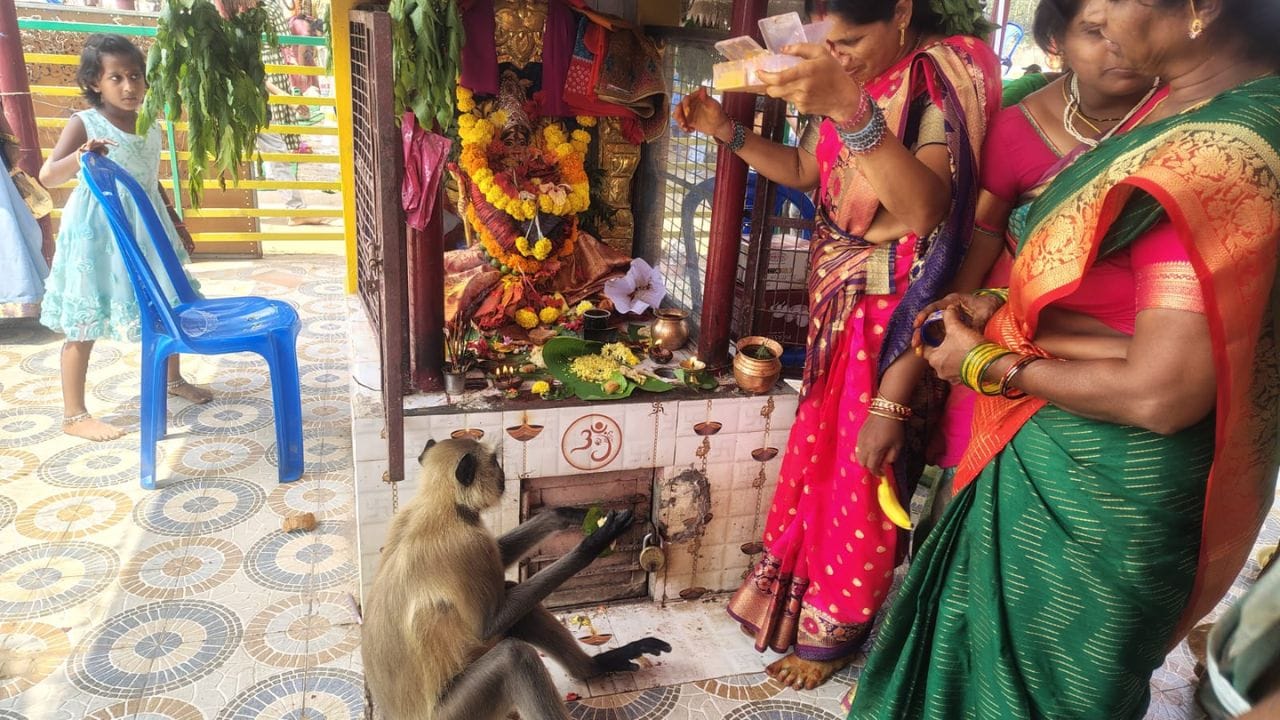 అక్కడు భక్తులను ఎవరినీ ఏమీ చేయక పోవడంతో మహిళలు కొండముచ్చు పక్కనే కూర్చుని పూజలు చేసి, వారిలో పాటు పూజలో పాల్గొన్న కోతికి సైతం ప్రసాదాలు పెట్టారు. వాటిని తింటూ కాసేపు అక్కడే తిరగాడింది ఆ కొండముచ్చు. ఈ విషయం తెలుసుకున్న గ్రామస్తులంతా ఆలయానికి చేరుకొని కొండముచ్చును చూసేందుకు ఎగబడ్డారు.