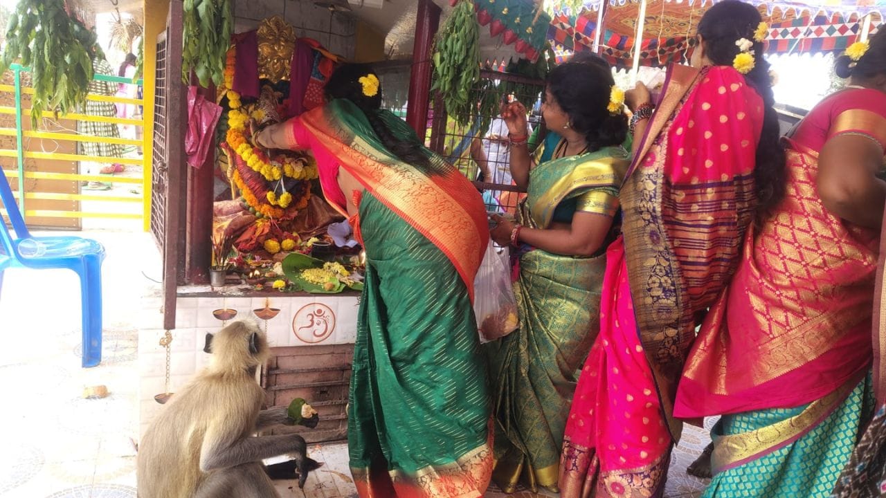 పశ్చిమ గోదావరి జిల్లా మొగల్తూరు లోని చెట్టు కింద ముత్యాలమ్మ ఆలయం ఉంది. అమ్మవారి గుడి దగ్గర మహిళలు పూజలు చేస్తూ ఉండగా ఎక్కడ నుండి వచ్చిందో ఒక కొండముచ్చుఆ ప్రదేశానికి వచ్చింది. మహిళలు పూజలు చేస్తుంటే వారి పక్కన కూర్చుని అమ్మవారికి నమస్కరిస్తూ పూజ అయ్యే వరకు అక్కడే తిరగాడింది.