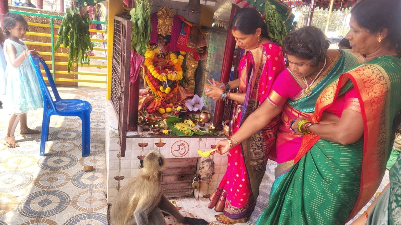 జంతువులు మనషుల్లా ప్రవర్తించిన ఘటన మనం ఇప్పటి వరకు చాలానే చూశాం, ప్రతి రోజు ఆలయానికి వచ్చే గోవులు ప్రదక్షిణాలు చేయటం పలు సార్లు జరిగింది. నాగులచవితి రోజు, శివరాత్రి వంటి పర్వదినాల్లో పాములు టెంపుల్ లోకి ప్రవేశించి శివలింగానికి చుట్టుకోవడం, పడగవిప్పి భక్తులను ఆశీర్వదిస్తున్నట్లు కనిపించటం కూడా దైవ మహిమగా చెబుతారు.