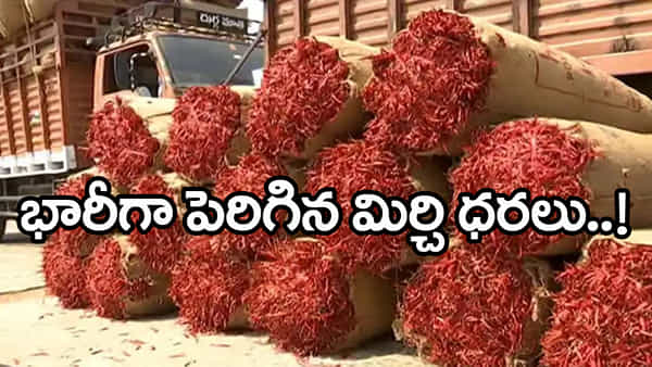 Mirchi Price Today: కాసులు కురిపిస్తున్న ఎర్రబంగారం.. రైతన్నలకు పండగే! క్వింటా ధర ఎంతో తెలుసా?