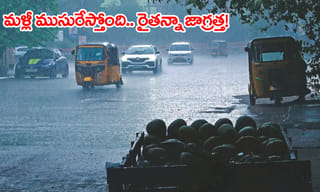 పొలం గట్టు వెంబడి వెళ్తుండగా ఒక్కటే దుర్వాసన.. ఏంటని వెళ్లి చూడగా షాక్..!