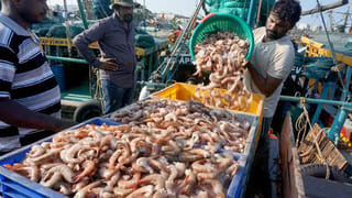 మహిళలకు అదిరిపోయే గుడ్‌న్యూస్.. 48 గంటల్లోనే అకౌంట్లో రూ.లక్ష జమ! పూర్తి వివరాలు ఇవే