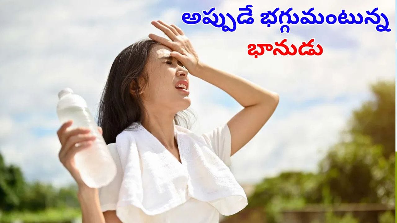AP, TS Heatwave: అప్పుడే భగ్గుమంటున్న భానుడు.. మరి ఏప్రిల్, మేలో ఎండలు ఎలా ఉండనున్నాయంటే?