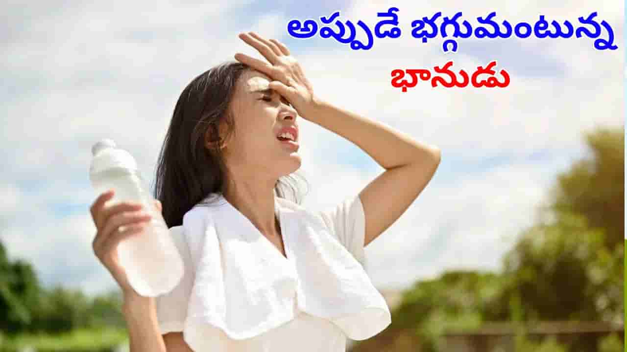 AP, TS Heatwave: అప్పుడే భగ్గుమంటున్న భానుడు.. మరి ఏప్రిల్, మేలో ఎండలు ఎలా ఉండనున్నాయంటే?