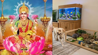 Raw Onions: మండే ఎండల్లో ఒంటికి చలువ చేసే పచ్చి ఉల్లి తింటున్నారా?