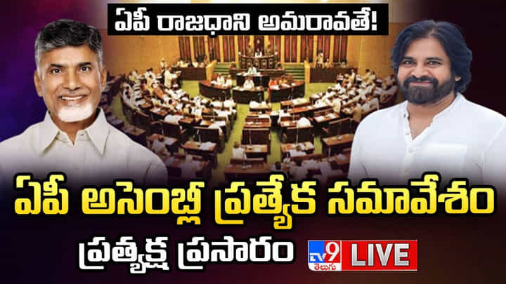 AP Assembly Live: అమరావతి ఇక బ్రాండ్.. ఏపీ అసెంబ్లీ ప్రత్యేక సమావేశం.. లైవ్ వీడియో AP Assembly Live: అమరావతి ఇక బ్రాండ్.. ఏపీ అసెంబ్లీ ప్రత్యేక సమావేశం.. లైవ్ వీడియో