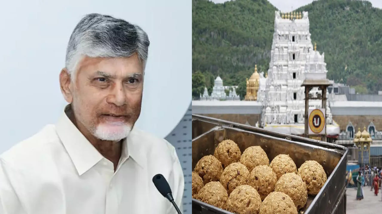 శ్రీవారి ప్రసాదాల కల్తీకి చెక్.. తిరుమలలో అత్యాధునిక ల్యాబ్..ప్రత్యేకతలు ఇవే!