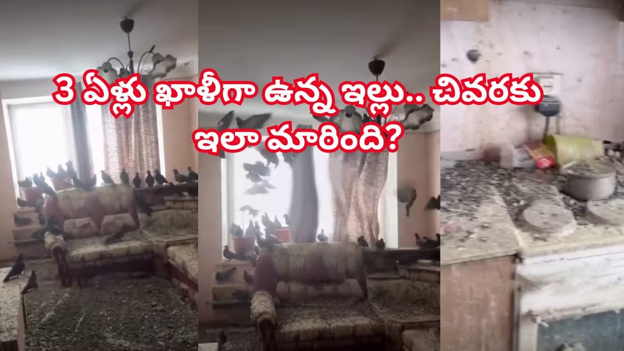 మూడేళ్ల తర్వాత ఇంటికి వచ్చి చూస్తే షాక్.. అపార్ట్‌మెంట్‌ను ఆక్రమించేశారు..! ఆ తర్వాత