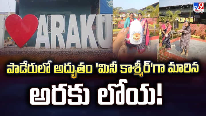 పాడేరులో అద్భుతం 'మినీ కాశ్మీర్'గా మారిన అరకు లోయ పాడేరులో అద్భుతం 'మినీ కాశ్మీర్'గా మారిన అరకు లోయ