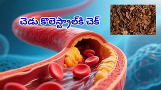 ఆ సమస్యలకు బ్రహ్మాస్త్రం జీలకర్ర నీరు.. ఉదయాన్నే ఇలా చేశారంటే కిడ్నీల్లో రాళ్లు సైతం కరగాల్సిందే..!