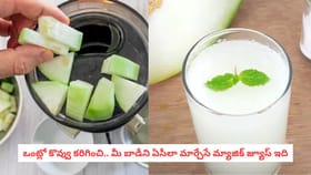 ఒంట్లో కొవ్వు కరిగించి.. మీ బాడీని ఏసీలా మార్చేసే మ్యాజిక్ జ్యూస్