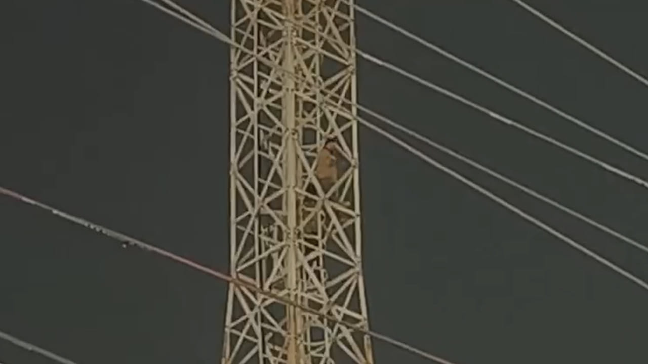 Hyderabad: గ్యాస్ దొరకడం లేదని ఆటో డ్రైవర్ల నిరసన.. సెల్ టవర్ ఎక్కి మరీ..