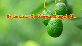 ఇది పండు కాదు పోషకాల పవర్‌ హౌజ్.. వారంపాటు రోజూ ఒకటి తిన్నారంటే..