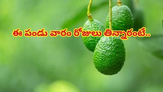 HPV Vaccine : బాలికలు, మహిళలకు తప్పనిసరి HPV వ్యాక్సిన్‌! ఇది ఎలా పనిచేస్తుంది, ఎన్ని డోస్‌లు అవసరమో తెలుసా?