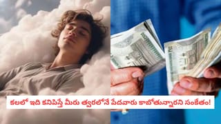 Vastu Tips: బల్లి మీద పడినా, కలలో కనిపించినా మీ ప్యూచర్ ఎలా ఉంటుందో తెలుసా?