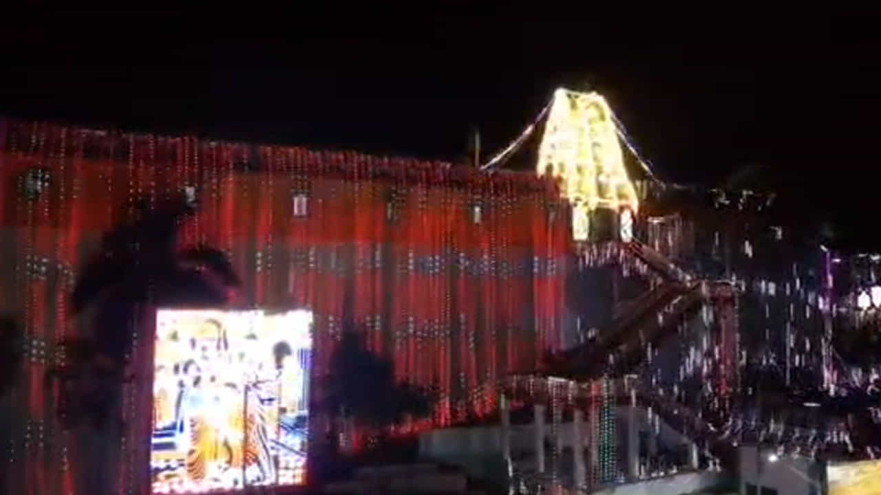 28 న మహాపట్టాభిషేకం, 29 న సదస్యం నిర్వహించనుండగా 30 న తెప్పోత్సవం , 31 న ఊంజల్ సేవ ,ఏప్రిల్ 1 న వసంతోత్సవంరెండున పూర్ణాహుతి ,ద్వజారోహణంతో ఉత్సవాలు సమాప్తి కానుంది. బ్రహ్మోత్సవాలను పురస్కరించుకొని గురువారం నుంచి ఏప్రిల్ 2 వరకు ఆలయంలో నిత్య కల్యాణాలను నిలిపివేయనున్నారు. ఏప్రిల్ 2 వరకు ప్రభుత్వోత్సవం (దర్బారు సేవ), పవళింపు సేవలు సైతం నిలిపివేస్తారు.మిథిలా స్టేడియంలోని కల్యాణ మండపాన్ని 24 సెక్టార్లుగా విభజించగా అందులో 31వేలమంది ప్రత్యక్షంగా కల్యాణం తిలకించడానికి వీలుంది.