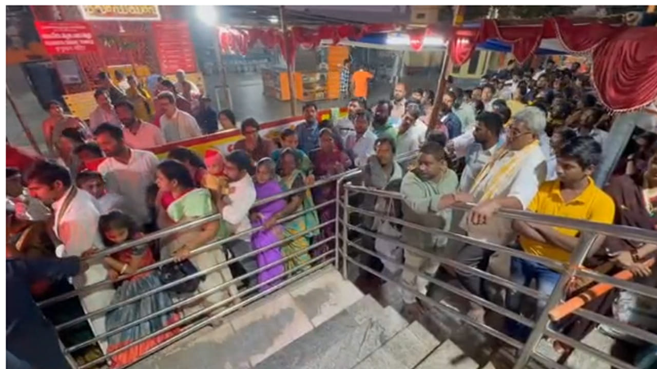 నవమికి తరలివచ్చే భక్తుల కోసం 25 ప్రసాదాల కౌంటర్లు, 70తలంబ్రాల పంపిణీ కేంద్రాలు ఏర్పాటు చేస్తున్నారు.నవమి అనంతరం కార్గో, పోస్టల్, ఆన్లైన్, ప్రచార శాఖల ద్వారా ముత్యాల తలంబ్రాలను పంపేందుకు చర్యలు చేపడుతున్నారు..అదేవిధంగా పరోక్ష సేవలు పొందేవారికి తలంబ్రాలను పంపనున్నారూ,ఈసారి నవమికి 300 క్వింటాల్ ముత్యాల తలంబ్రాలు   సిద్ధం చేస్తున్నారు .