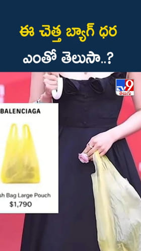 ఈ చెత్త బ్యాగ్ ధర ఎంతో తెలిస్తే.. దిమ్మ తిరగాల్సిందే..!