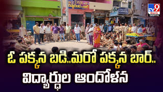 బండరాయి అనుకొని వదిలేశారు.. మూడేళ్ల తర్వాత చూస్తే.. అద్భుతం