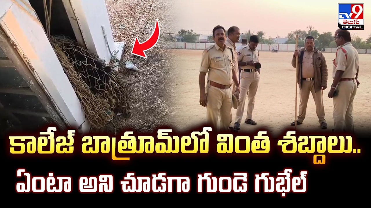 కాలేజ్‌ బాత్రూమ్‌లో వింత శబ్దాలు.. ఏంటా అని చూడగా గుండె గుభేల్‌