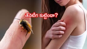 తేనెటీగ కుట్టిందా?ఈ చిట్కాలతో నొప్పి, వాపును వెంటనే తగ్గించుకోండి
