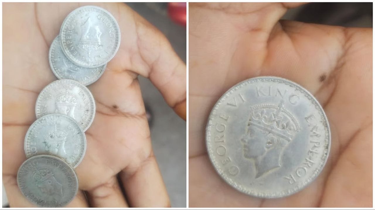 Beed Treasure Find (1)