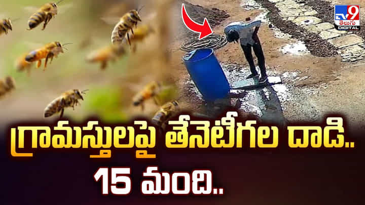 గ్రామస్తులపై తేనెటీగల దాడి..15 మంది.. గ్రామస్తులపై తేనెటీగల దాడి..15 మంది..