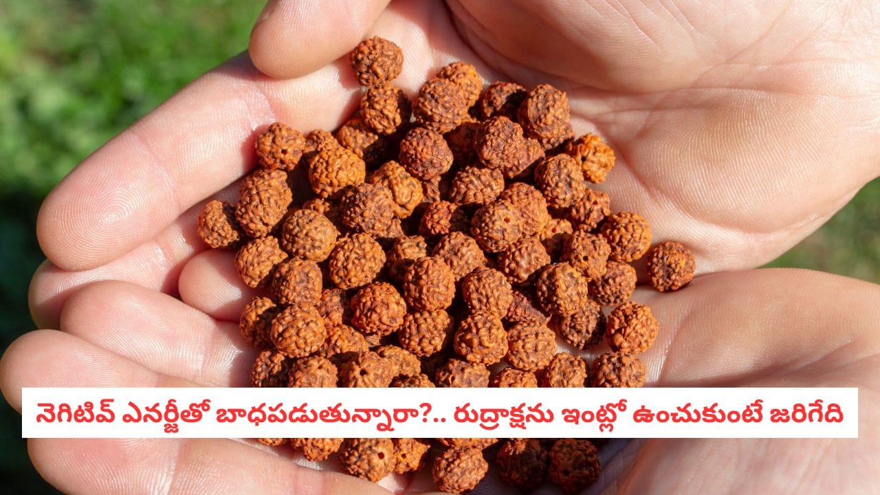 Rudraksha Power:మీ ఇంట్లో నెగటివ్ ఎనర్జీ ఉందా?..రుద్రాక్షను ఇంట్లో ఉంచుకుంటే జరిగేది ఇదే