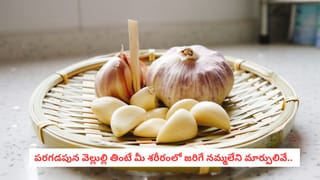 Garlic Benefits: ఇమ్యూనిటీ అమాంతం పెరిగిపోవాలా?.. వెల్లుల్లి గురించి ఈ షాకింగ్ రిపోర్ట్ తెలుసుకోండి..