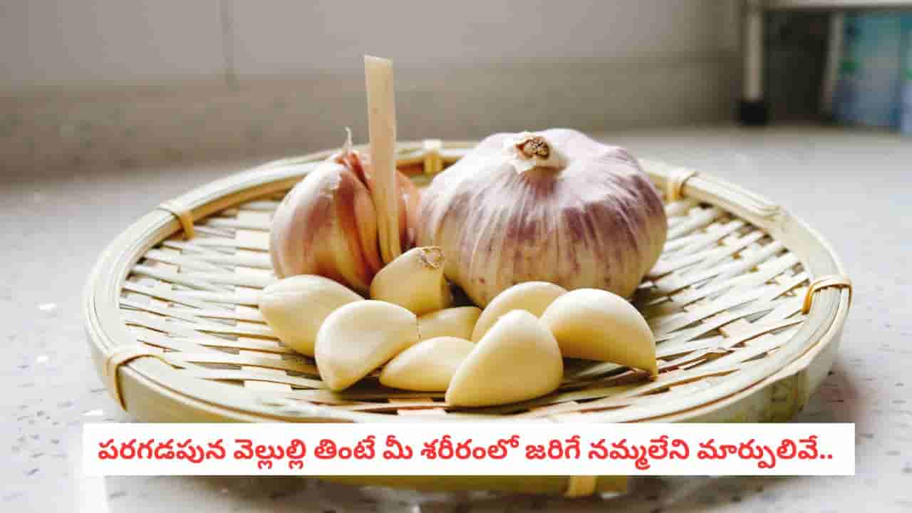Garlic Benefits: ఇమ్యూనిటీ అమాంతం పెరిగిపోవాలా?.. వెల్లుల్లి గురించి ఈ షాకింగ్ రిపోర్ట్ తెలుసుకోండి..