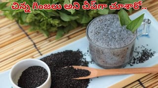 పులి, సింహం కన్నా ఇదే ప్రమాదకర జంతువు.. కుడితే భరించలేని దురద, స్కిన్ అలెర్జీ