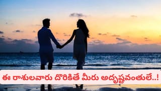 కరివేపాకు దోశ ఇలా వేస్తే ఎవరైనా పెనం దగ్గరకు లగెత్తుకురావాల్సిందే