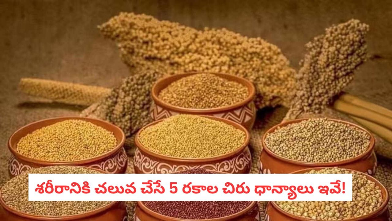 Summer Millets: మిల్లెట్స్ తింటే శరీరానికి మంచిదే.. కానీ సమ్మర్లో వీటి జోలికి మాత్రం వెళ్లకండి!