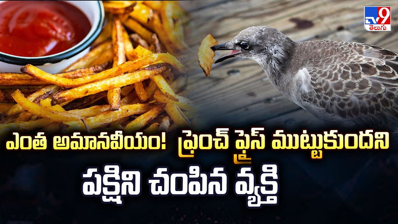 ఎంత అమానవీయం !! ఫ్రెంచ్ ఫ్రైస్ ముట్టుకుందని.. పక్షిని చంపిన వ్యక్తి