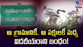 ఆ గ్రామానికీ.. ఆ పక్షులకీ మధ్య.. శతాబ్దాలుగా విడదీయరాని బంధం