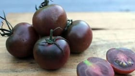 బరువు తగ్గాలనుకునే వారికి ఈ టమాటోలు వరం