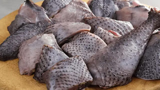 ఫ్రీగా ఫిన్లాండ్ వెళ్దామా? ప్రపంచంలోనే అత్యంత హ్యాపీయెస్ట్ కంట్రీ ఆఫర్.. 7 రోజుల ఉచిత పర్యటనకు ఎలా అప్లై చేయాలో చూడండి!