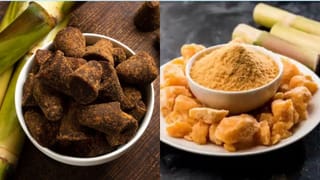 Broiler Chicken: ఇంజెక్షన్లు అనేది నిజమేనా?.. బ్రాయిలర్ కోళ్లు త్వరగా పెరగడానికి అసలు కారణం ఏంటి?