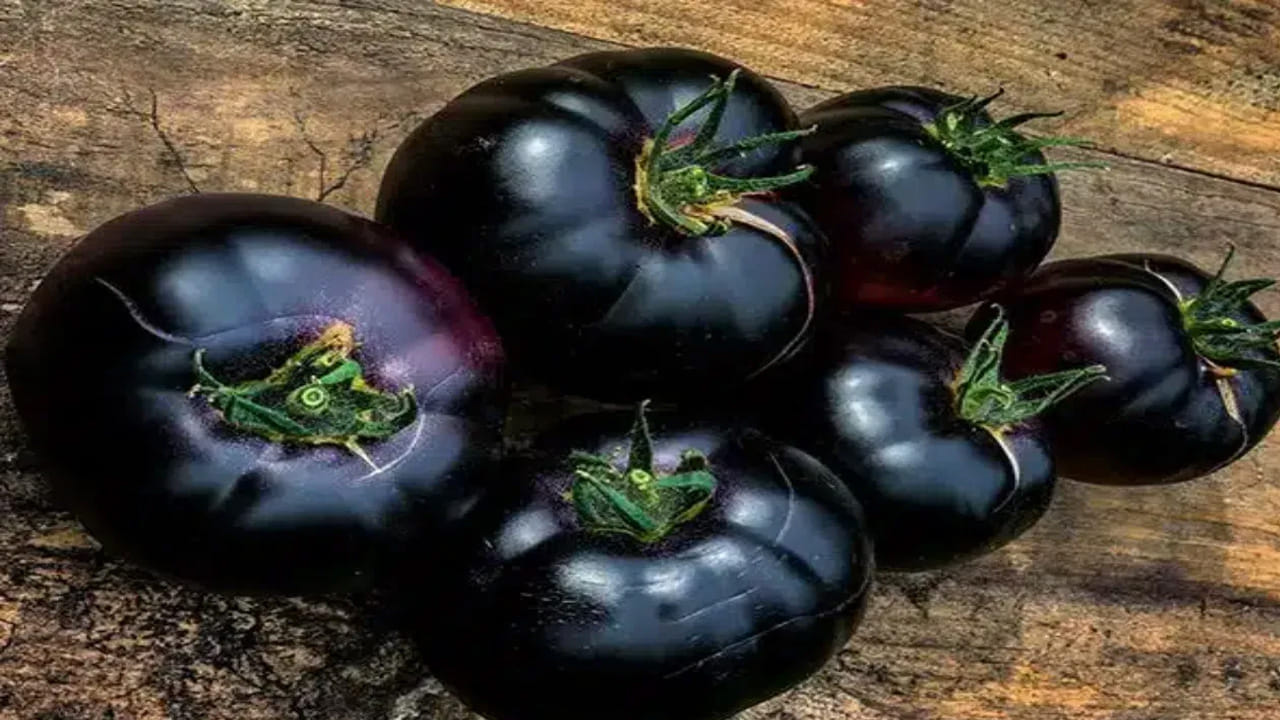 Black Tomato