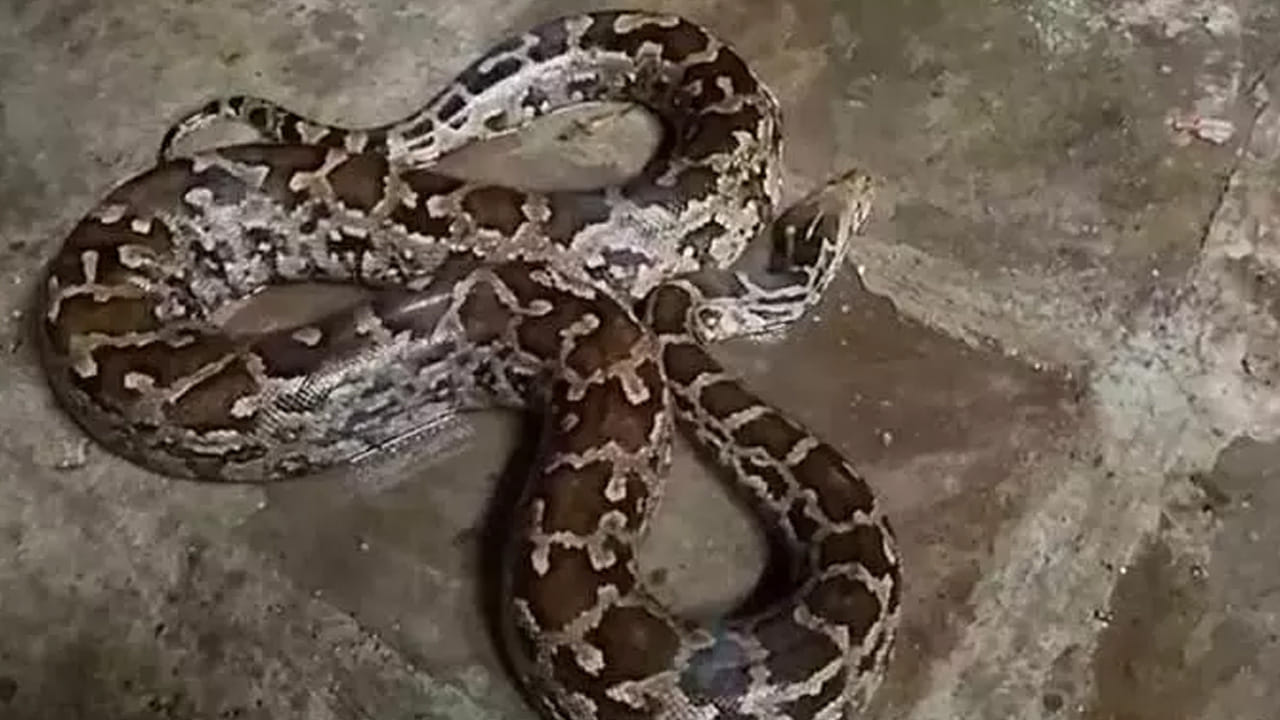 నోట్ పై సమాచారం కేవలం ఇంటర్నెట్ ఆధారంగా మాత్రమే ఇవ్వడం జరిగింది. టీవీ9 తెలుగు దీనిని ధృవీకరించలేదు.