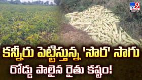 కన్నీరు పెట్టిస్తున్న 'సొర' సాగు: రోడ్డు పాలైన రైతు కష్టం