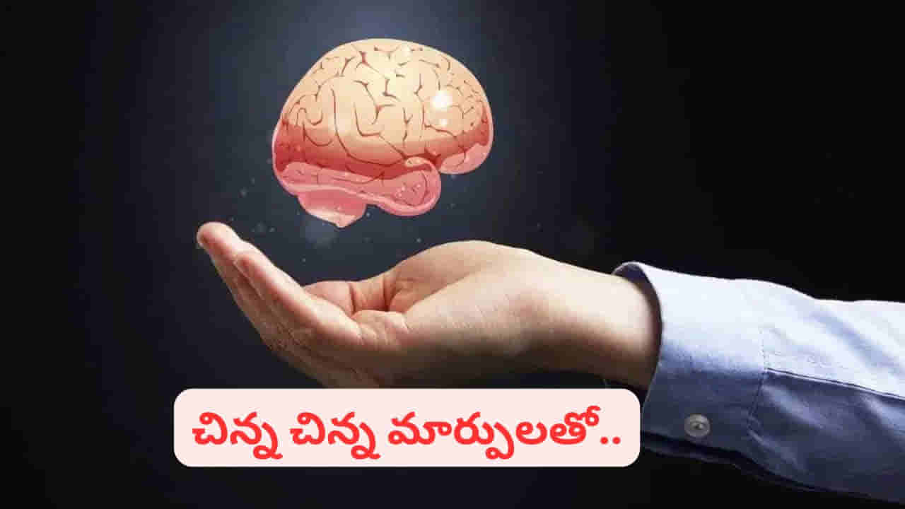Brain Health: మీ మెదడు చురుగ్గా, హెల్దీగా ఉండాలంటే.. ఈ సూపర్ ఫుడ్స్ మిస్ చేయొద్దు..!