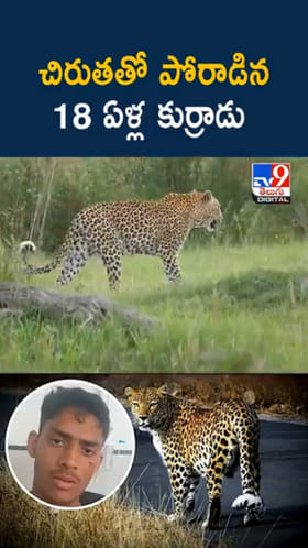 చిరుతతో 18 ఏళ్ల కుర్రాడి భీకర పోరాటం.. చివరికి..?