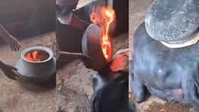 గేదెకు ఇలా ఎందుకు చేస్తున్నారో తెలుసా..?