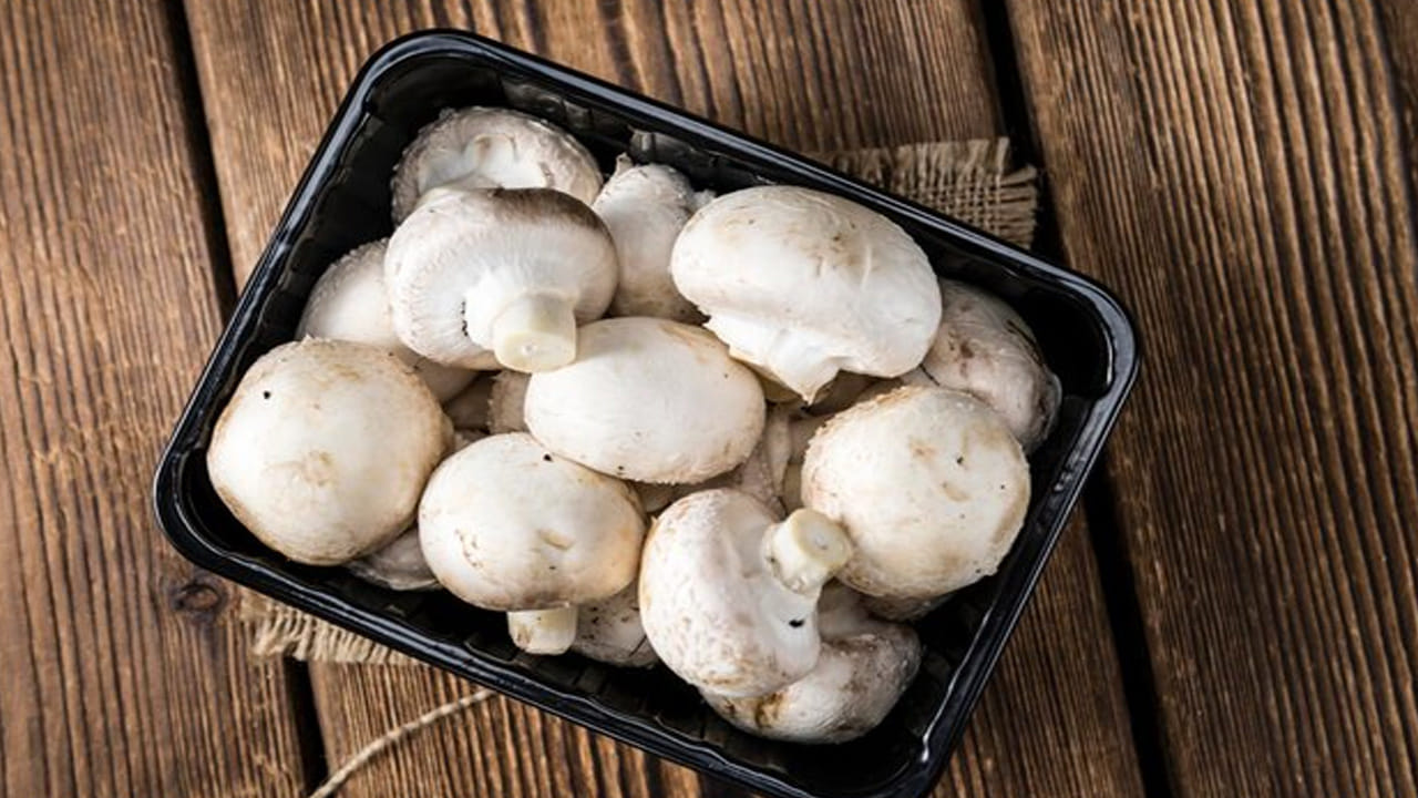 పెన్ స్టేట్ సెంటర్ ఫర్ ప్లాంట్ అండ్ మష్రూమ్ ప్రొడక్ట్స్ ఫర్ హెల్త్ డైరెక్టర్ ప్రొఫెసర్ రాబర్ట్ బీల్మాన్ ప్రకారం.. పుట్టగొడుగులలో రెండు యాంటీఆక్సిడెంట్లు పుష్కలంగా ఉన్నాయని పరిశోధనలో తేలిందని, అవి ఎర్గోథియోనిన్, గ్లూటాథియోన్. ఇవి వృద్ధాప్యం, ఇతర వ్యాధుల నుండి రక్షించడంలో సహాయపడతాయి. పుట్టగొడుగులలోని పోషకాలు శరీరాన్ని రక్షిస్తాయి. 1,400 రకాల పుట్టగొడుగులు ఉన్నాయి. అయితే అన్నీ తినదగినవి కావు.